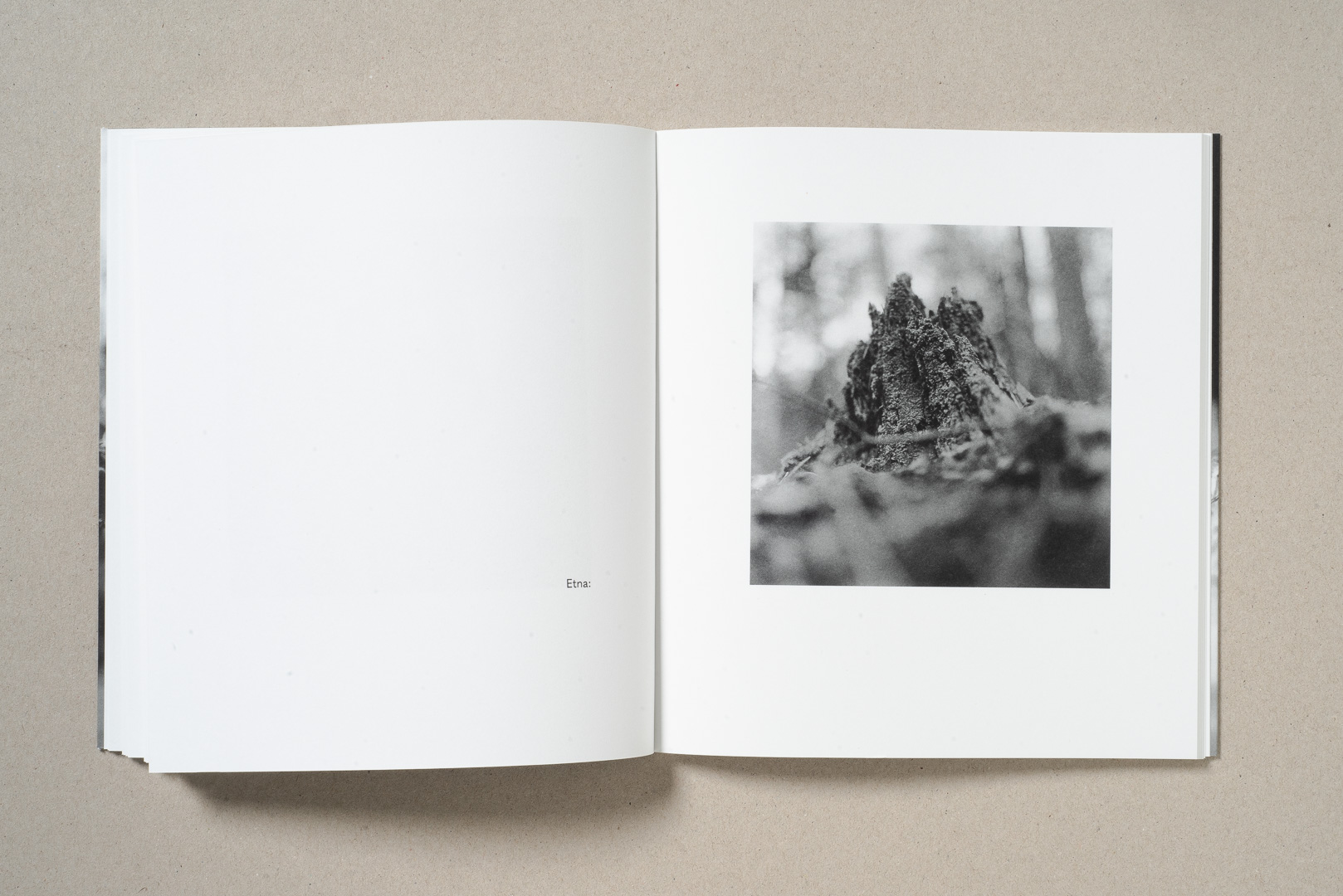 j bengtsson books j bengtsson books
